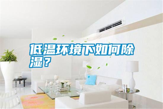 低溫環境下如何除濕？