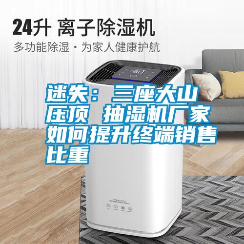 迷失:三座大山壓頂 抽濕機(jī)廠家如何提升終端銷售比重