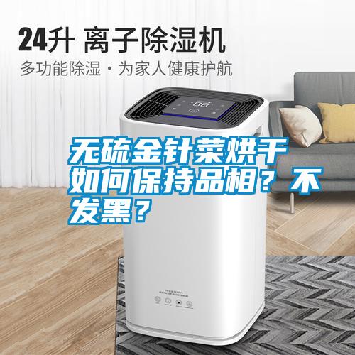 無硫金針菜烘干如何保持品相?不發(fā)黑?