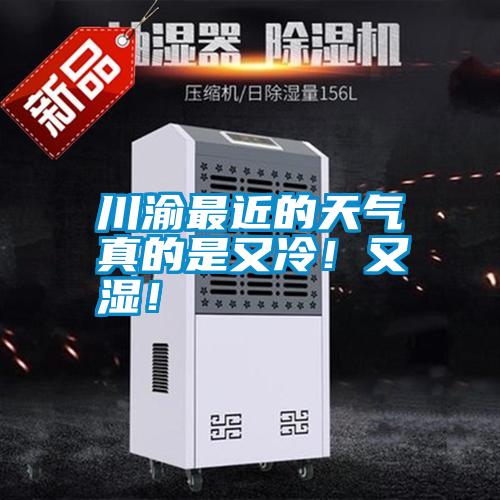 川渝最近的天氣真的是又冷!又濕!