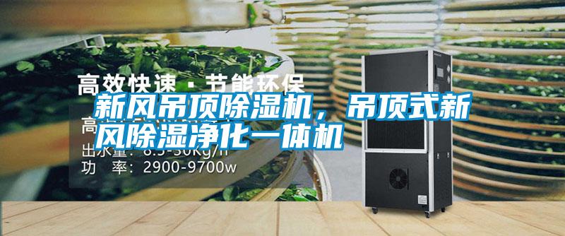 新風吊頂除濕機，吊頂式新風除濕凈化一體機