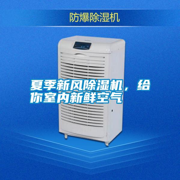 夏季新風除濕機，給你室內新鮮空氣