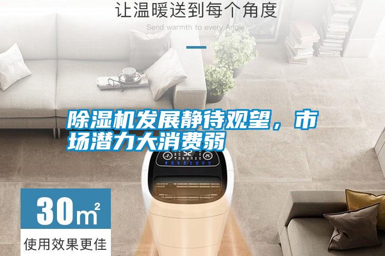 除濕機發(fā)展靜待觀望,市場潛力大消費弱