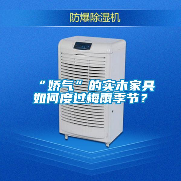 “嬌氣”的實(shí)木家具如何度過梅雨季節(jié)?