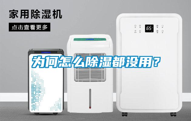 為何怎么除濕都沒用？