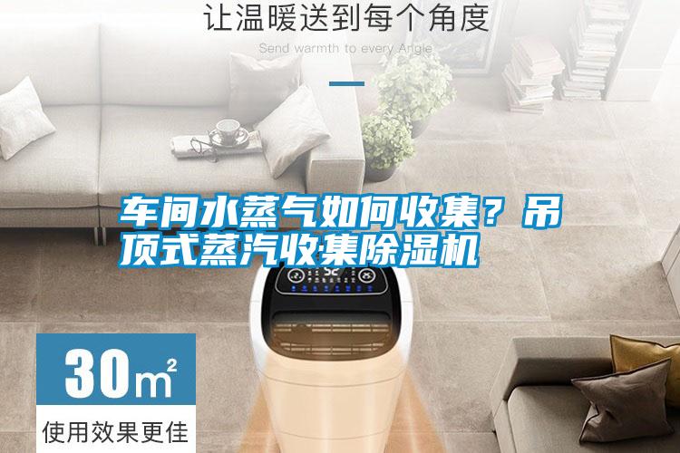 車間水蒸氣如何收集?吊頂式蒸汽收集除濕機(jī)