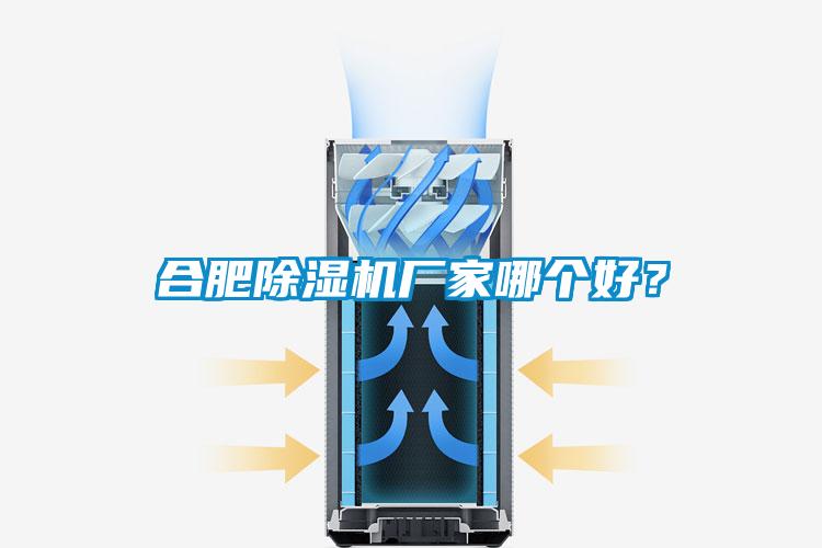 合肥除濕機廠家哪個好?
