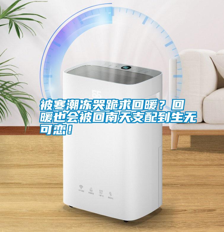 被寒潮凍哭跪求回暖?回暖也會被回南天支配到生無可戀!