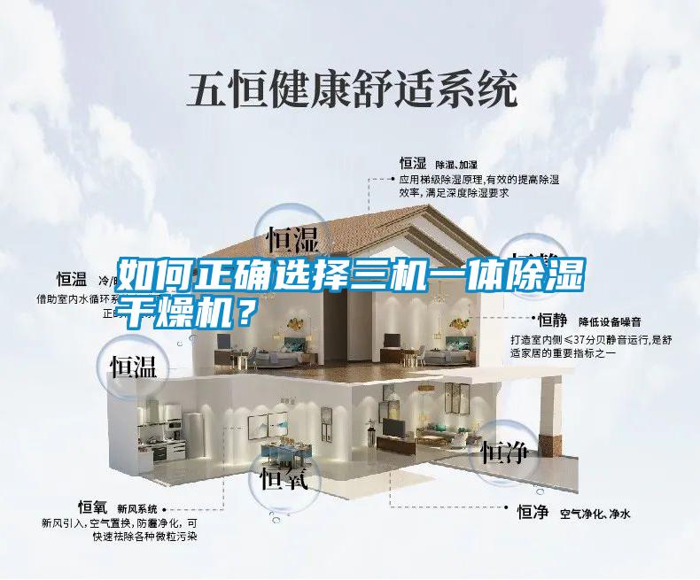 如何正確選擇三機一體除濕干燥機？