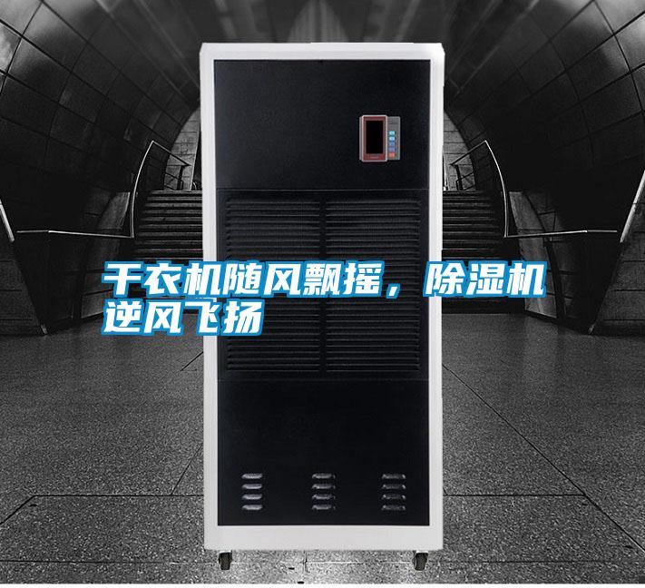 干衣機隨風飄搖,除濕機逆風飛揚