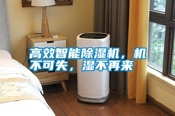 高效智能除濕機，機不可失，濕不再來