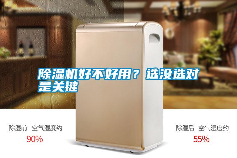 除濕機好不好用？選沒選對是關鍵