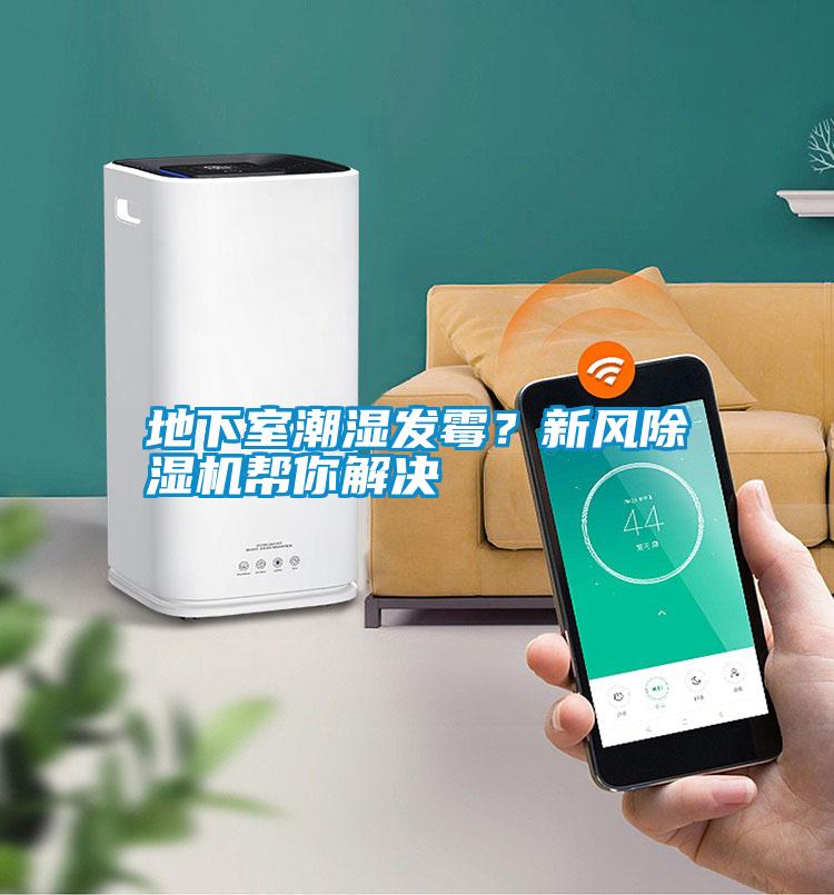 地下室潮濕發霉？新風除濕機幫你解決