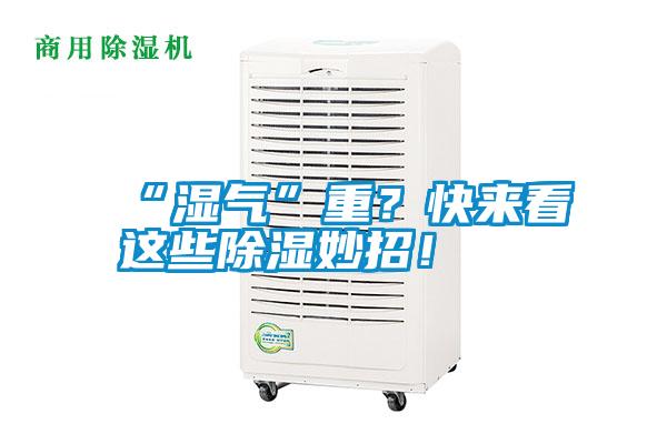 “濕氣”重？快來看這些除濕妙招！