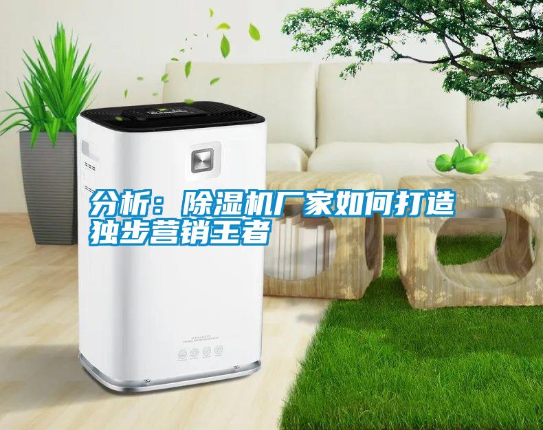 分析：除濕機廠家如何打造獨步營銷王者