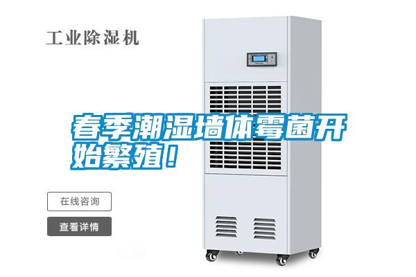 春季潮濕墻體霉菌開(kāi)始繁殖!