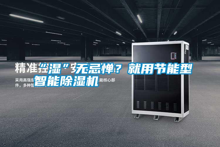 “濕”無忌憚？就用節能型智能除濕機