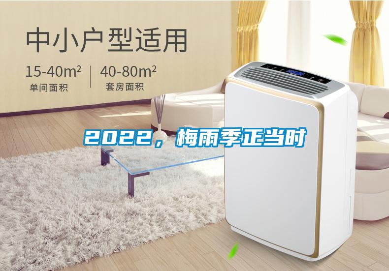 2022,梅雨季正當(dāng)時(shí)