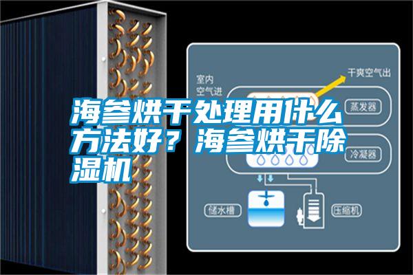 海參烘干處理用什么方法好？海參烘干除濕機(jī)