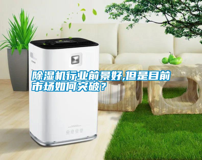 除濕機行業前景好,但是目前市場如何突破?