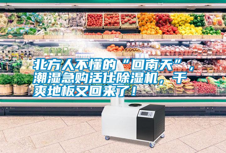 北方人不懂的“回南天”，潮濕急購活仕除濕機，干爽地板又回來了！