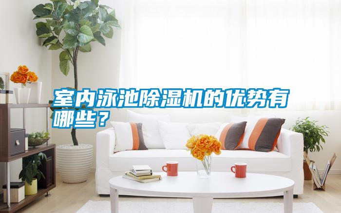 室內泳池除濕機的優勢有哪些？