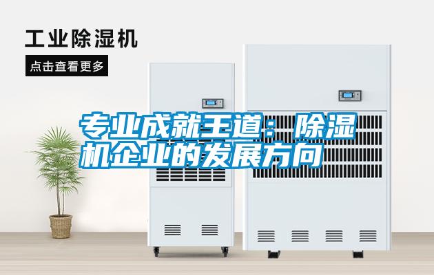 專業(yè)成就王道:除濕機(jī)企業(yè)的發(fā)展方向