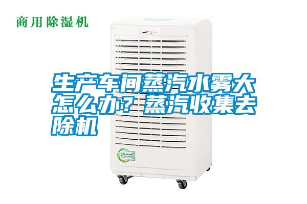生產(chǎn)車間蒸汽水霧大怎么辦?蒸汽收集去除機