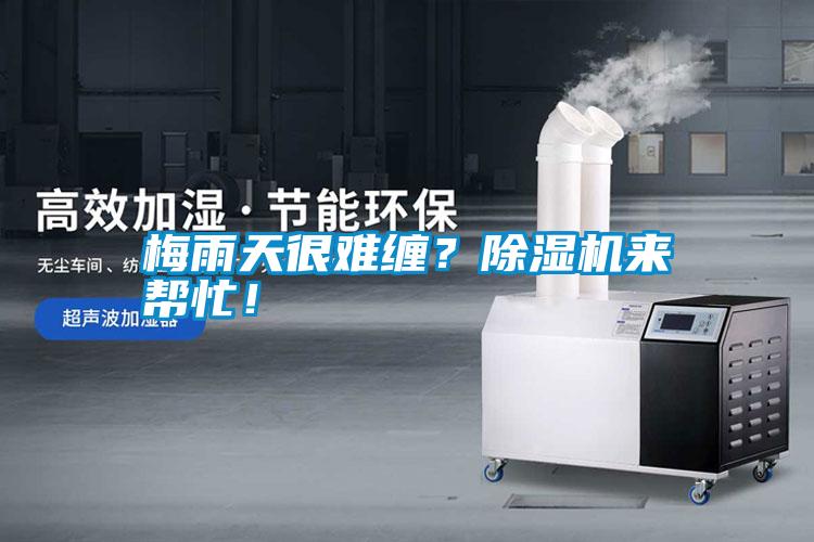 梅雨天很難纏？除濕機來幫忙！