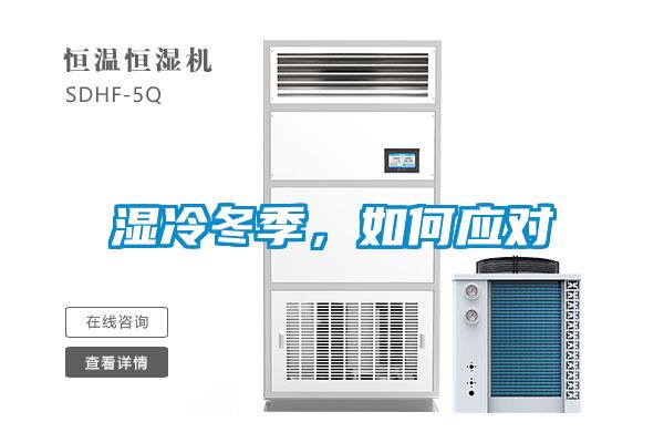 濕冷冬季,如何應對