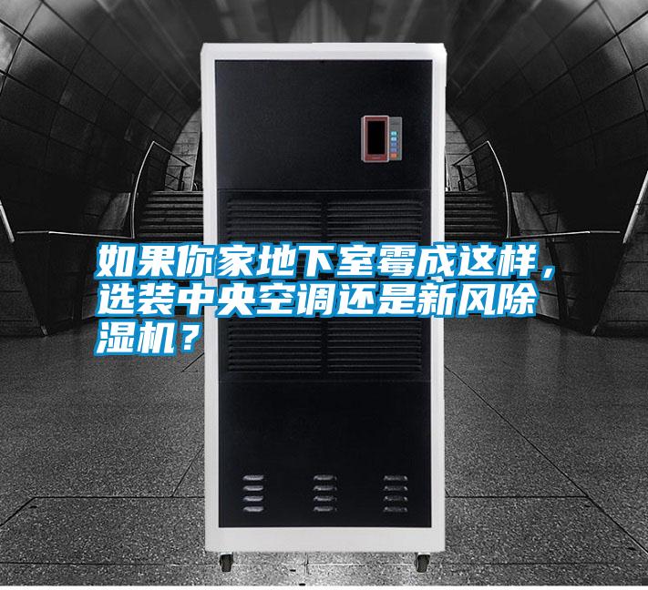 如果你家地下室霉成這樣，選裝中央空調(diào)還是新風除濕機？