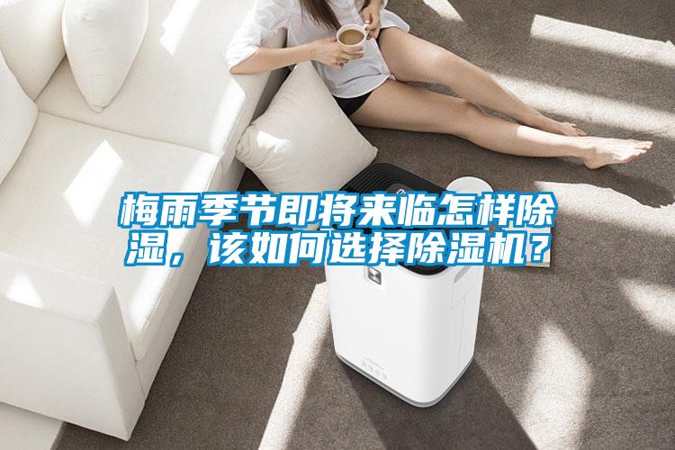 梅雨季節即將來臨怎樣除濕,該如何選擇除濕機?
