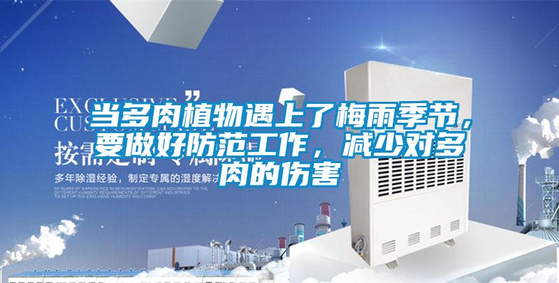 當(dāng)多肉植物遇上了梅雨季節(jié)，要做好防范工作，減少對多肉的傷害