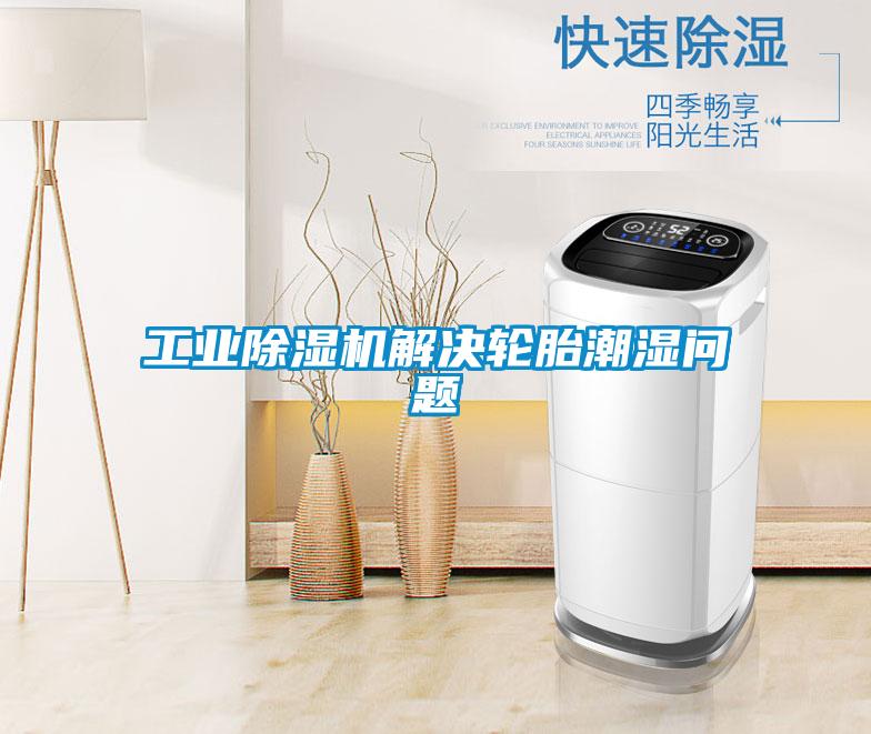 工業除濕機解決輪胎潮濕問題