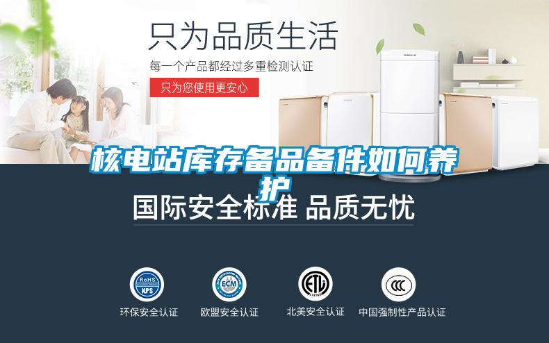 核電站庫存?zhèn)淦穫浼绾勿B(yǎng)護