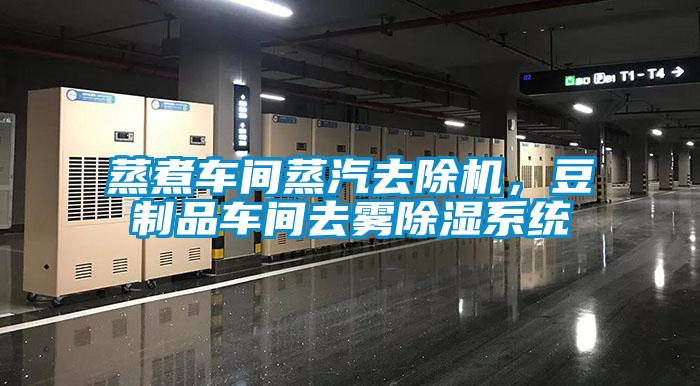 蒸煮車間蒸汽去除機，豆制品車間去霧除濕系統