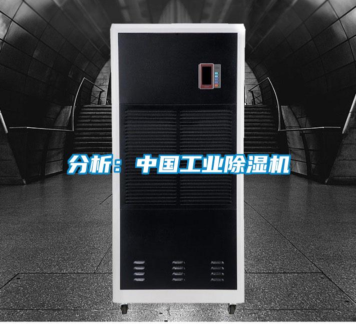 分析:中國工業除濕機