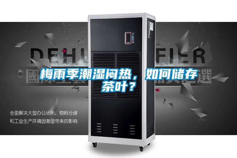 梅雨季潮濕悶熱，如何儲存茶葉？