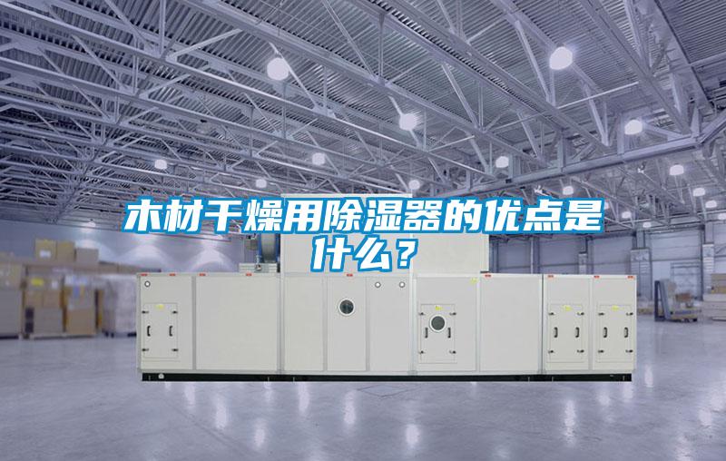 木材干燥用除濕器的優(yōu)點是什么?