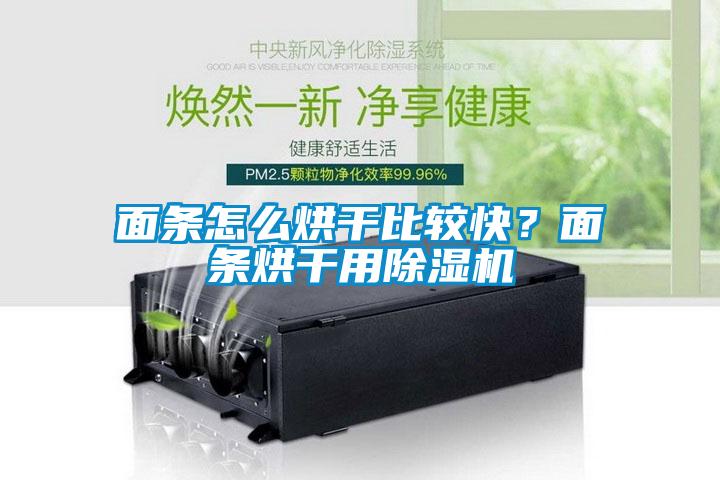 面條怎么烘干比較快?面條烘干用除濕機