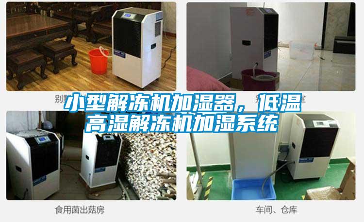 小型解凍機加濕器，低溫高濕解凍機加濕系統(tǒng)