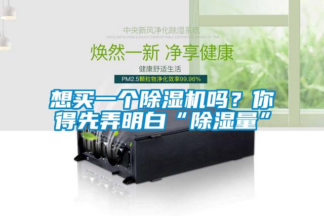 想買一個(gè)除濕機(jī)嗎？你得先弄明白“除濕量”