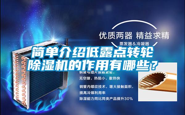 簡(jiǎn)單介紹低露點(diǎn)轉(zhuǎn)輪除濕機(jī)的作用有哪些？