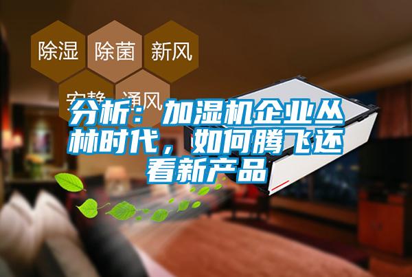 分析:加濕機企業叢林時代,如何騰飛還看新產品