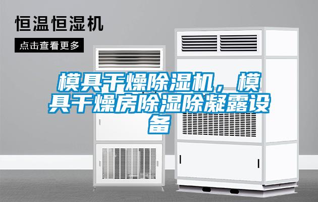 模具干燥除濕機，模具干燥房除濕除凝露設備