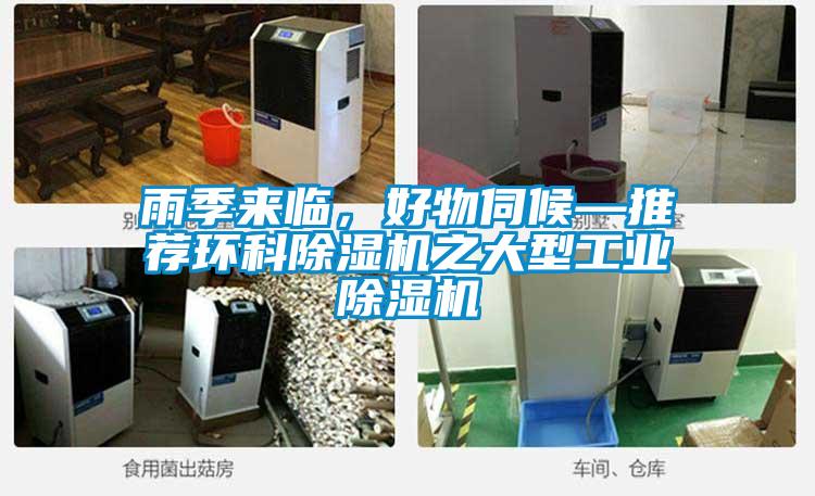 雨季來臨，好物伺候—推薦環科除濕機之大型工業除濕機