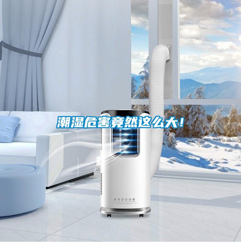 潮濕危害竟然這么大！