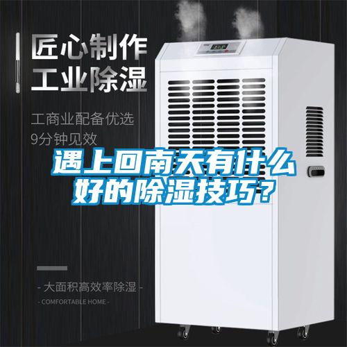 遇上回南天有什么好的除濕技巧?
