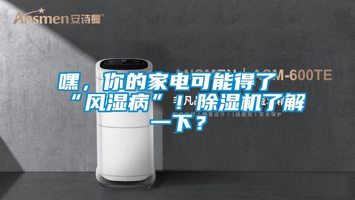 嘿，你的家電可能得了“風(fēng)濕病”！除濕機(jī)了解一下？