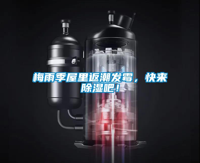 梅雨季屋里返潮發(fā)霉,快來除濕吧!